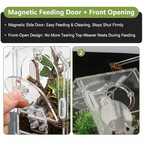 Jumping Spider Enclosure, Acrylic Terrarium with Magnetic Front Door, Includes Tweezers and Aquarium Thermometer Strip, Habitat for Mantis, Arboreal Tarantulas & Snails