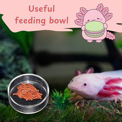 Axolotl Hammock for Aquarium with Fish Feeder, Axolotl Hammock for Aquarium with Food Bowl Tray Feeder, Breathable Mesh Reptile Hammocks Lounger Ladder, Bearded Dragon Tank Accessories (Green, M)