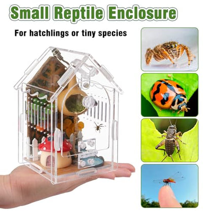 Acrylic Jumping Spider Enclosure with Magnetic Lock & Feeding Port | Scratch-resistant clear acrylic, 1mm vent, tool-free, magnetic door for arboreal tarantula & mantis