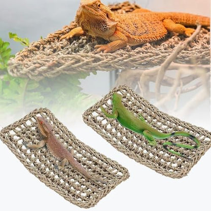 TEICCI Bearded Dragon Tank Accessories Set,10-Piece Kit Leopard Gecko Tank Accessories with Bearded Dragon Hammock, Large Reptile Bridge Hammock,Decor Suitable for Lizards, Geckos, and Chameleons