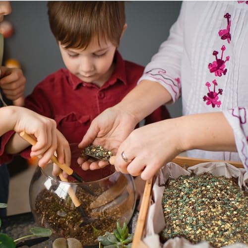 Doter Terrarium Potting Soil Mix 1qt, Custom Made for Terrariums, Perfect for Vibrant Miniature Gardens - size: 1qt