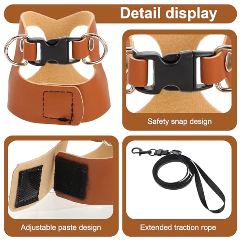 3 Pack Bearded Dragon Harness Set, Adjustable Bearded Dragon Leash with 3 Sizes Vests, 6.56ft Lead for Reptile Training Walking (Smooth Brown) - color: Smooth Brown