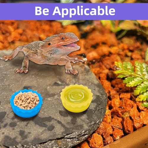 21Pcs Crested Gecko Food and Water Feeding Cups with Reptile Feeding Tongs Kit,Small Reptile Food Dish Colorful Water Bowl Long Tweezers Geckos Tank Accessories for Tortoise, Crab and Small Pet