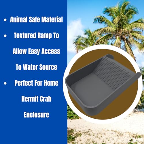Hermit Crab Watering Pool | Platform Pool Accessory with Access Ramp for Hermit Crabs | 6.5" x 4" | Made in USA (Fresh Only, Gray) - color: Fresh Only, Gray
