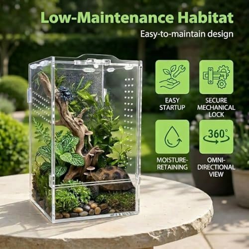 Jumping Spider Enclosure Kit, Clear Acrylic Terrarium Tank with Accessories, Vertical Reptile Habitat for Tarantula Mantis Bug Snail Hide, Anti-Escape Micro-Vent Front Opening Arboreal Starter Gift
