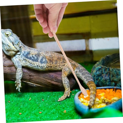 2pcs Stainless Steel Reptile Food Spoon Portable Small Animal Feeding Scoop for Lizards Geckos and Other Pets and Easy to Use Feeding Tool - color: Golden