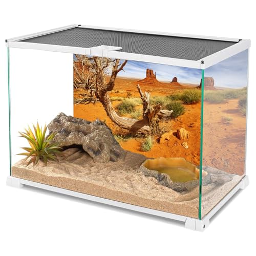 AWERT 24x12 inches Reptile Habitat Background Orange Desert Terrarium Background Durable Polyester Background