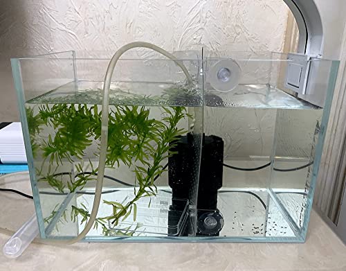 AWXZOM Small Nano Tall Rimless Tank, Glass Fish Tank, Betta Fish Tank, Aquarium (2.85 Gal, 11.8x6.7x7.8 inch) - size: 2.85 Gallon 11.8x6.7x7.8inch/30x17x20cm