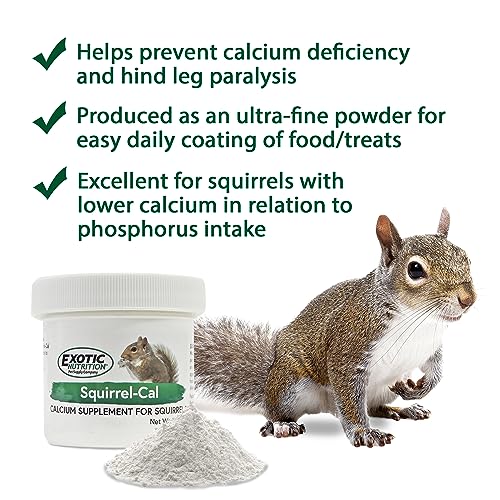 Squirrel-Cal 3.5 oz. - Ultra-fine Powdered Calcium Supplement - for Pet Squirrels