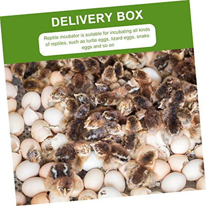 BESPORTBLE 2Pcs Compartment Reptile Hatchery Tray Lightweight Incubator Box for Lizard Easy to Clean and Portable Breeding Case