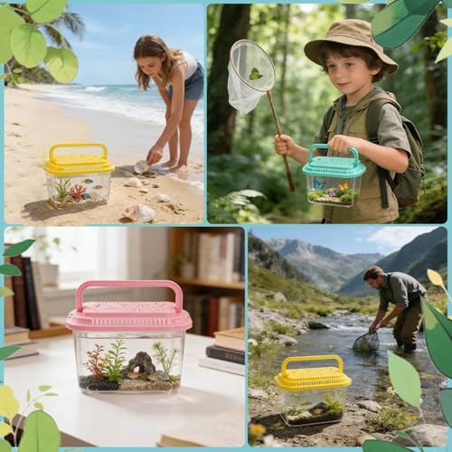 10 Pcs Plastic Terrarium Reptile Carrier Cage, Small Fish Tank | Tarantula Enclosure Snake Breeding Box, Portable Mini Aquarium for Crab Beach Turtle Pets