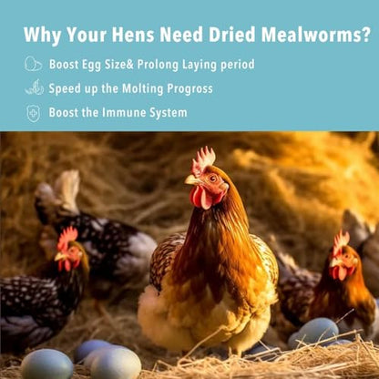 WormsFarm 5lb Dried Mealworms for Chickens Treats for Laying hens,Bluebirds,Quail,Chicken Food | treats for laying hens,blue birds - size: 5 Pound (Pack of 1)