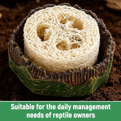 NQEUEPN Cockroach Water Basin & 3 Loofah, Reptile Container Supplies | Cockroach Water Basin with Luffa Set Durable Reptile Live Habitat Supplies for Crickets Springtails Isopods