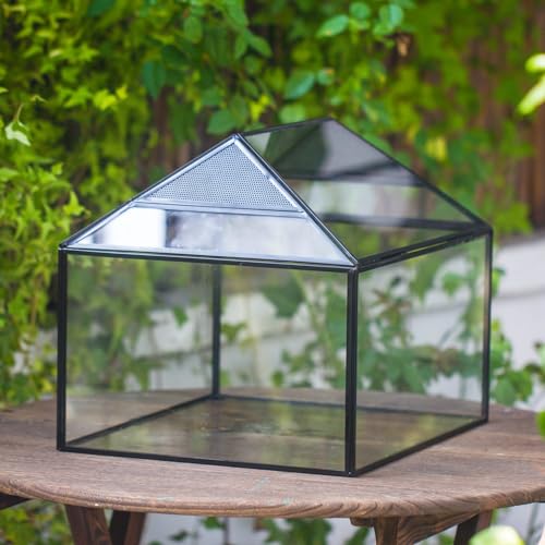 NCYP Large Geometric Glass Terrarium Box with Swing Lid for Tarantula, Snail - 14x12x12 Inches Glass Enclosure (Terrarium Only)