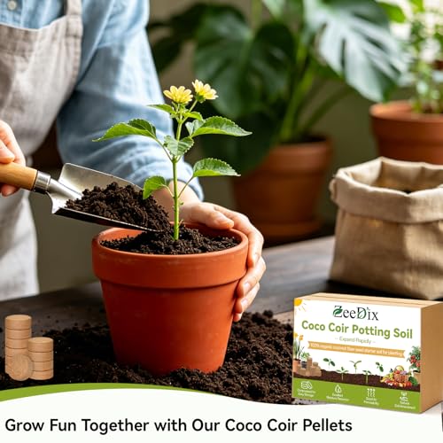 55 Pack 30mm Organic Coco Coir Pellets Seed Starter Soil | Low EC, pH Balance, Potting Soil Mix, Seed Starting, Indoor Outdoor Plants, Herbs Houseplants Bonsai Vegetables Flowers - size: 30mm-55pack