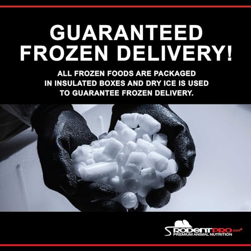 RodentPro Frozen Reptile Feeder Small Coturnix Quail (25 Count)