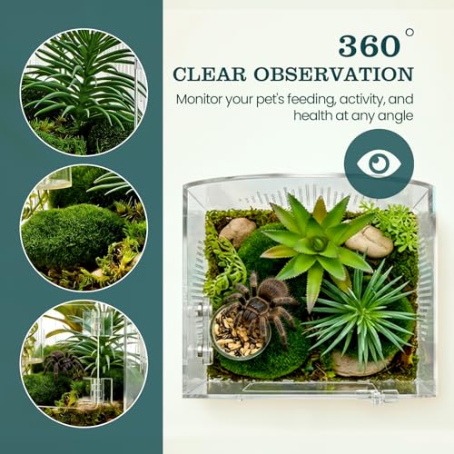 Jumping Spider Enclosure Kit, Clear Acrylic, No Assembly Needed | Micro-vent airflow, 360-degree view, Pre-assembled, Magnetic feeding dish, Tweezers included, For spiderlings and mantises