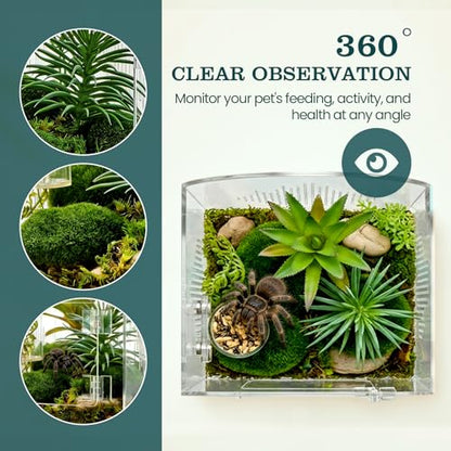 Jumping Spider Enclosure Kit, Clear Acrylic, No Assembly Needed | Micro-vent airflow, 360-degree view, Pre-assembled, Magnetic feeding dish, Tweezers included, For spiderlings and mantises