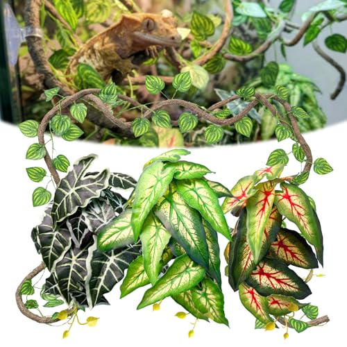 5 Pcs Reptile Plants & Habitat Decor Kit - 3 Artificial Plants & Large 3.3ft Jungle Vine Branch, TTerrarium Hanging Plants Vines for Crested Gecko, Leopard,Bearded Dragon, Lizard,Chameleon,Ball Python - color: Caladium, Alocasia and Syngonium