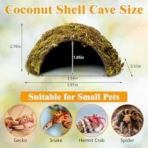 PINVNBY 2 Pack Natural Green Moss Hide Caves Coconut Reptile Hideouts Hamster Climbing Toys Gecko Habitat Decor Lizard Shell Shelter for Snake Tarantulas Turtle Chameleon - size: 2 PCS Moss Surface