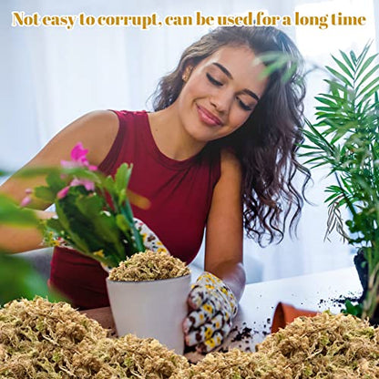 2.2LB Sphagnum Moss for Plants- 40QT Natural Long Fibers Orchid Moss | Moisture Retention & Drainage Balance, Plant Moss for Orchids, Succulents, Carnivorous, Ferns, Reptile Bedding & Terrariums - size: 40 QT(2.2 lb)