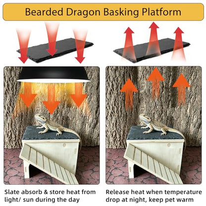 Bearded Dragon Basking Platform Wood Reptile Hide Cave Gecko Hide | Medium,9.1"×7.8"×7.1",Detachable,Installation Instructions,with Slate Rock Mat,for Gecko Chameleon Snake Crested Gecko - size: Medium