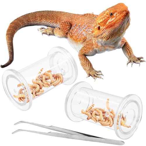 Tfwadmx 2 Pack Transparent Bearded Dragon Enrichment Toys, Reptile Feeding Accessories with Tweezers for Leopard Gecko Crested Gecko Small Reptiles