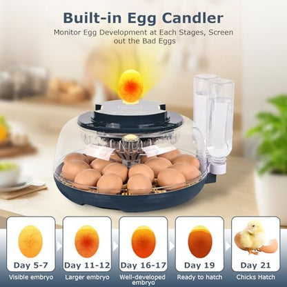 Incubators for Hatching Eggs, 18 Eggs Incubator with Egg Candler, Auto Egg Turner, Temp & Humidity Control, Hatch Day, Auto Water Refill, 2 Size Egg Tray, 360° Viewing for Chicken, Duck, Quail - size: 18 Eggs