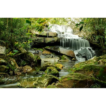 Waterfall Aquarium Background Jungle Forest Lake Stream Natural Landscape Fish Tank Background Tropical Plants Huge Rock with Moss Terrarium Backgrounds Jungle Trees Falls Reptile Backgrounds 24x12in - color: Light Green, size: 24(W)x12(H)inches/ 60(W)*30