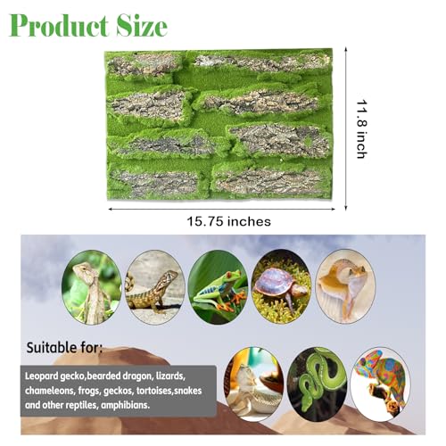 kathson Reptile Cork Terrarium Background Decor,Habitat Fitting Bark Backdrop Wall Artificial Moss 3D Aquarium Panel for Lizard Gecko Tortoise Spider Bearded Dragon Chameleon Snake Amphibian(2Pcs)
