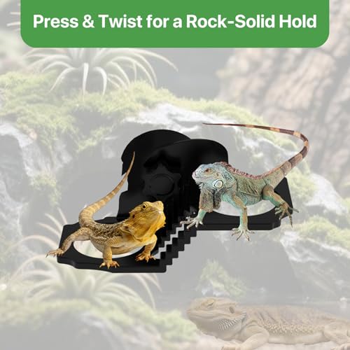 Reptile Feeding Ledge with 6 Cups, Suction Cup Food & Water Bowl for Geckos, Frogs, Chameleons – Easy-Clean Dish for Terrarium & Small Pets