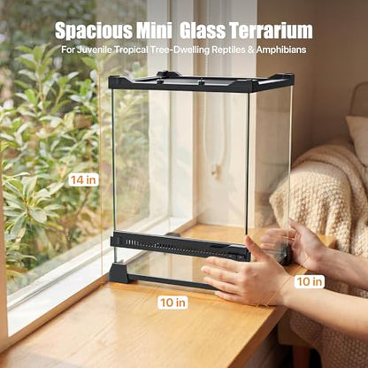 6 Gallon Fully Assembled Glass Reptile Enclosure,10"x 10" x 14" | Front Opening Tall Reptile Terrarium Tank for Baby Crested Geckos, Tree Frogs, Praying Mantises, Jumping Spiders - size: 10"L x 10"W x 14"H
