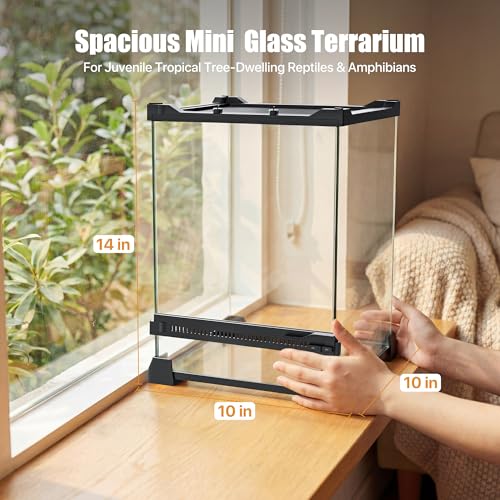 6 Gallon Fully Assembled Glass Reptile Enclosure,10"x 10" x 14" | Front Opening Tall Reptile Terrarium Tank for Baby Crested Geckos, Tree Frogs, Praying Mantises, Jumping Spiders - size: 10"L x 10"W x 14"H