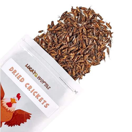 Dried Crickets 1 lb for Chickens, Wild Birds, Hedgehogs, Reptiles, Lizards, Bearded Dragons, Fish, Turtles - High Protein Natural Insect Food Resealable Bag