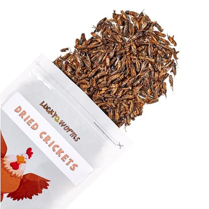 Dried Crickets 1 lb for Chickens, Wild Birds, Hedgehogs, Reptiles, Lizards, Bearded Dragons, Fish, Turtles - High Protein Natural Insect Food Resealable Bag