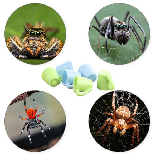 6 Pcs Tarantula Micro Water Bowl Spider Resin Feeding Bowl for Spider Tarantula Millipede Tiny Bugs Small Insects (Blue and Green)