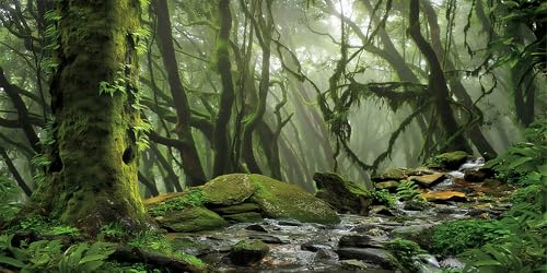 48X18 Inch Foggy Forest Terrarium Backdrop with Misty Stream and Ancient Tree - Tropical Reptile Habitat Background Durable Polyester Vivarium Decoration - size: 48X18in