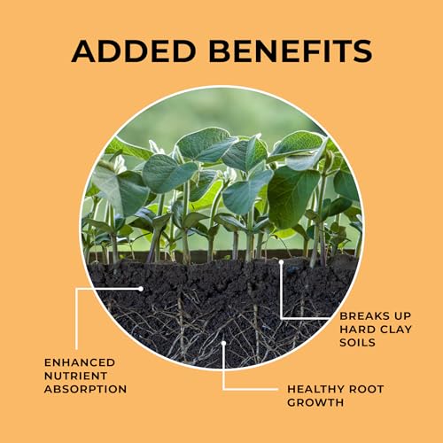 Mycelium Coco Coir Brick I Expandable Organic Coconut Fiber Substrate I Plants Potting Soil Mix for Indoor & Outdoor Gardening, Succulents & Cactus I OMRI Certified & Non-GMO Soil Alternative, 10lbs - style: Indoor Plants