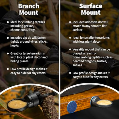Pangea Microdish Kit for Micro Gecko Feeding, 1.5in x .75in | Feeder & Water Bowl for Mourning Geckos & Micro Gecko - size: S Surface Mount