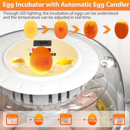 Egg Incubators for Hatching Eggs with Automatic Egg Turner, 8 Incubator for Chicken Eggs with Egg Candler for Chicken, Duck, Quail, Smart Egg Hatcher for Beginners & Kids - size: S- 8 Chicken Eggs