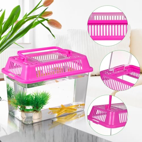 Angoily Turtle Tank, 0.4 Gal Portable Plastic Handheld Mini Fish Tanks Clear Reptile Habitat Carrier Catch and Release Aquarium Small Pet Aquarium with Handle for Travel and Home Use, Bug Cage Beach