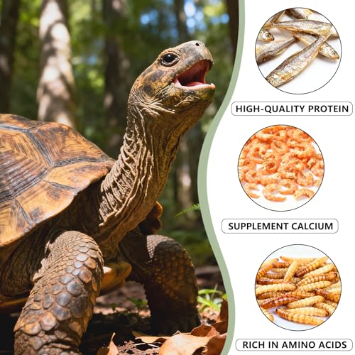 Turtle Food for Reptiles, 3 oz Canister - 3-in-1 Blend of Dried Mealworms, River Shrimp & Fish - Turtle Treats with High Protein, Reptile Treats for Aquatic Turtles (3 oz)