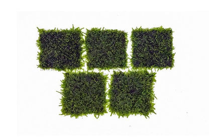 Live Aquarium Plants on Driftwood, Lava Rock, Moss, Fiber Mat - Freshwater Fish Tanks - Easy, Beginner Friendly (Mini Christmas Moss on Stainless Steel, 3 Pack) - color: Mini Christmas - Stainless Steel, size: 3 Pack