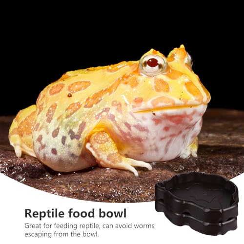 Outanaya 2pcs Reptile Feeding Bowl for Pet and Lizard, Nonporous Synthetic Resin Food and Water Dish, Black Cage Feeder to Avoid Worms Escaping, for Feeding Scenario
