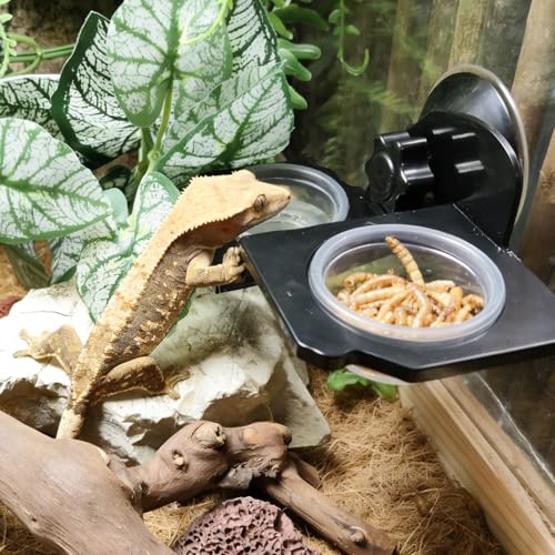 Tfwadmx 1oz 500pcs Gecko Feeding Cups, Reptile Food Dish and Water Cups Reptile Feeding Bowls Gecko Tank Accessories for Lizards Snake Crabs (1oz 500pcs) - size: 1oz 500 pcs