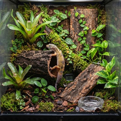 Natural Cork Bark for Reptiles - 3Pcs Reptile Hide & Terrarium Decor Set - Wood Log Rounds & Flats for Leopard Gecko, Bearded Dragon, Snake & Crested Gecko Habitat - Climbing Surface