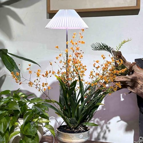 MiniSun Deco Origami Style LED Plant Grow Light with Floor Stand Base, Adjustable Brightness Full Spectrum for Indoor Plants, 1 Pack(Light for Plant Growth) - style: Base stand+ Soil plug 1pack