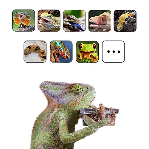 100Pcs Crested Gecko Food Dish, 0.5oz Plastic Reptile Feeding Cups - size: 100Pcs