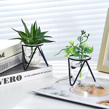 Jspupifip 3 Pcs Glass Plant Terrarium with Metal Stand | Air Plants Holders, Hydroponic Plant Vases, Desktop Bulb Glass Vase, Home Office Decor