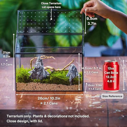 NCYP Glass Terrarium with Acrylic Lid, 10.2x5.9x8.2 Inches House Shape Glass Terrarium for Snails, Indoor Tabletop Decor, Handmade (Plants Not Included)